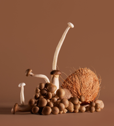 tobacco road – Eloro Home tobacco road – Eloro Home